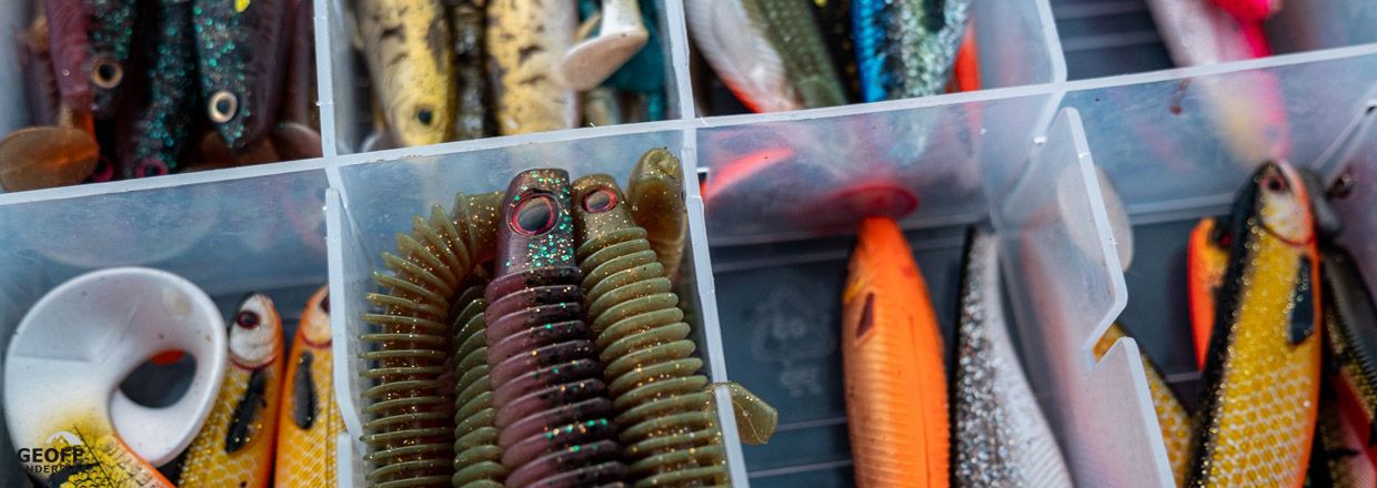 5 tips for wintherperch